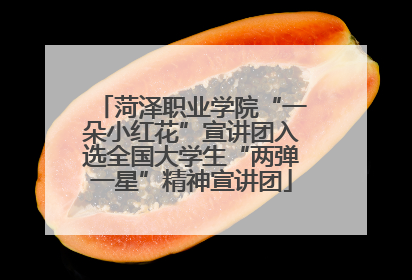菏泽职业学院“一朵小红花”宣讲团入选全国大学生“两弹一星”精神宣讲团