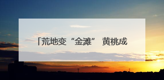 荒地变“金滩” 黄桃成“金果” 宜城农家女带领乡邻“桃”出致富路