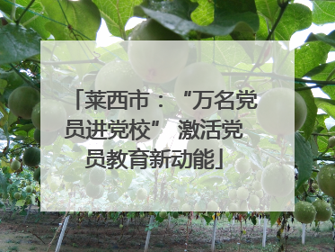 莱西市：“万名党员进党校” 激活党员教育新动能