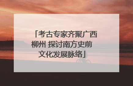 考古专家齐聚广西柳州 探讨南方史前文化发展脉络
