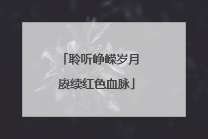 聆听峥嵘岁月 赓续红色血脉