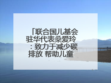 联合国儿基会驻华代表桑爱玲：致力于减少碳排放 帮助儿童适应气候变化