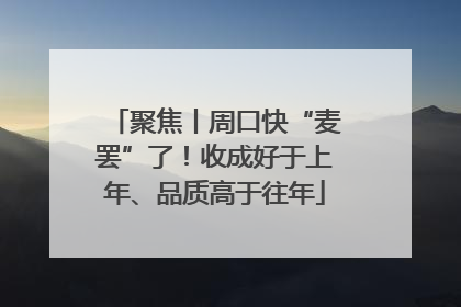 聚焦丨周口快“麦罢”了！收成好于上年、品质高于往年