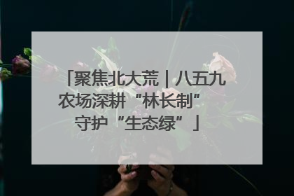 聚焦北大荒｜八五九农场深耕“林长制” 守护“生态绿”