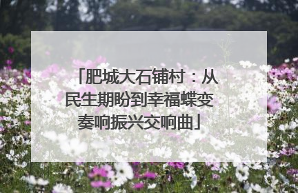肥城大石铺村：从民生期盼到幸福蝶变奏响振兴交响曲