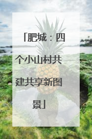 肥城：四个小山村共建共享新图景