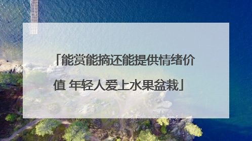 能赏能摘还能提供情绪价值 年轻人爱上水果盆栽