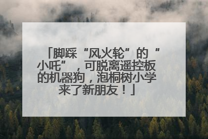 脚踩“风火轮”的“小吒”，可脱离遥控板的机器狗，泡桐树小学来了新朋友！