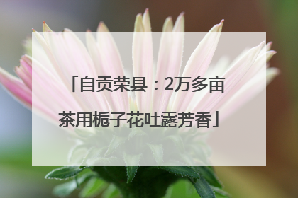 自贡荣县：2万多亩茶用栀子花吐露芳香
