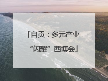 自贡：多元产业“闪耀”西博会