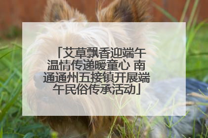 艾草飘香迎端午 温情传递暖童心 南通通州五接镇开展端午民俗传承活动