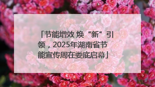 节能增效 焕“新”引领，2025年湖南省节能宣传周在娄底启幕