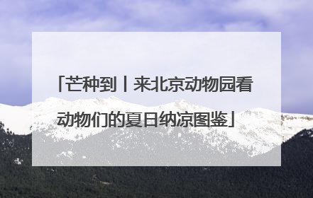芒种到丨来北京动物园看动物们的夏日纳凉图鉴