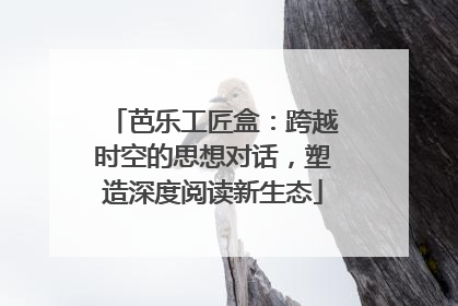 芭乐工匠盒：跨越时空的思想对话，塑造深度阅读新生态