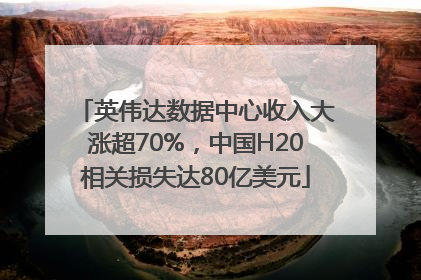 英伟达数据中心收入大涨超70%，中国H20相关损失达80亿美元