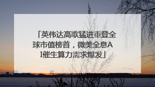 英伟达高歌猛进重登全球市值榜首，微美全息AI催生算力需求爆发