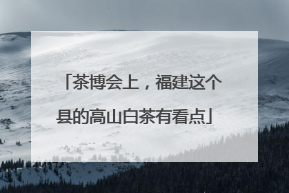 茶博会上，福建这个县的高山白茶有看点