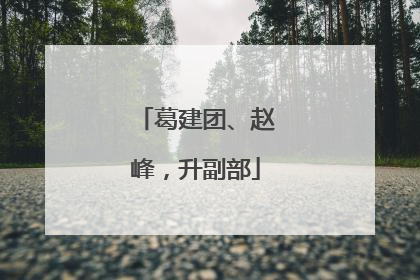 葛建团、赵峰，升副部