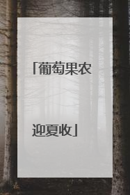 葡萄果农迎夏收