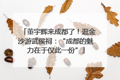 董宇辉来成都了！逛金沙游武侯祠：“成都的魅力在于仅此一份”