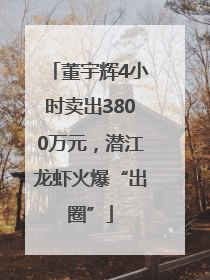 董宇辉4小时卖出3800万元，潜江龙虾火爆“出圈”
