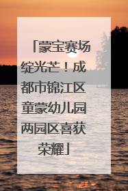 蒙宝赛场绽光芒！成都市锦江区童蒙幼儿园两园区喜获荣耀