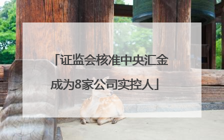 证监会核准中央汇金成为8家公司实控人