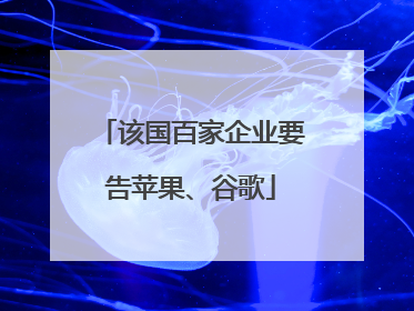 该国百家企业要告苹果、谷歌