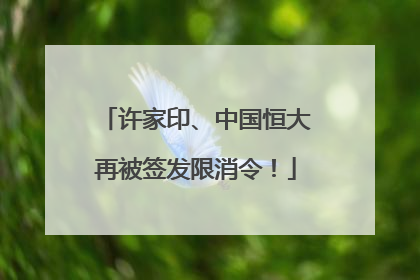 许家印、中国恒大再被签发限消令！