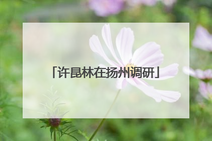 许昆林在扬州调研