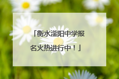 衡水滏阳中学报名火热进行中！
