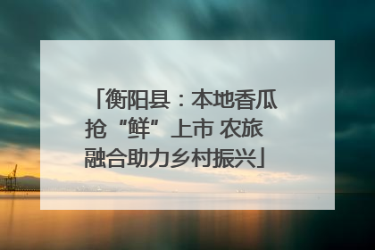 衡阳县：本地香瓜抢“鲜”上市 农旅融合助力乡村振兴