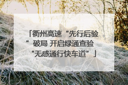 衢州高速“先行后验”破局 开启绿通查验“无感通行快车道”
