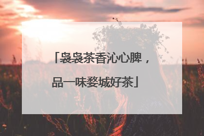 袅袅茶香沁心脾，品一味婺城好茶