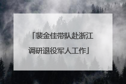 裴金佳带队赴浙江调研退役军人工作