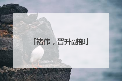 褚伟，晋升副部