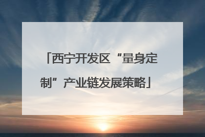 西宁开发区“量身定制”产业链发展策略