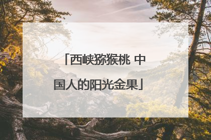西峡猕猴桃 中国人的阳光金果
