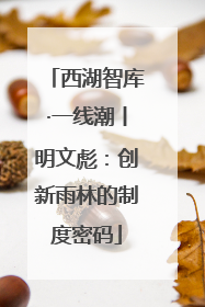 西湖智库·一线潮丨明文彪：创新雨林的制度密码