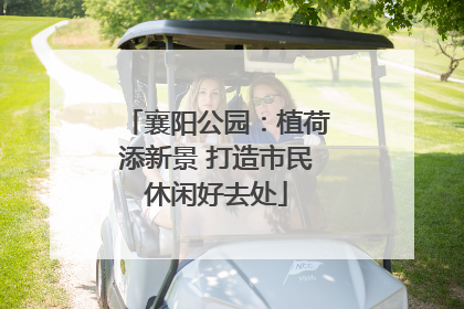 襄阳公园：植荷添新景 打造市民休闲好去处