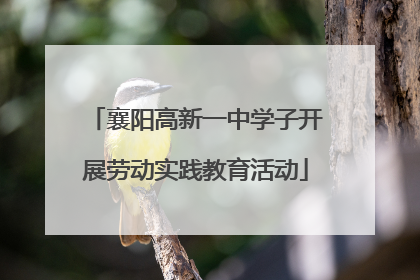 襄阳高新一中学子开展劳动实践教育活动