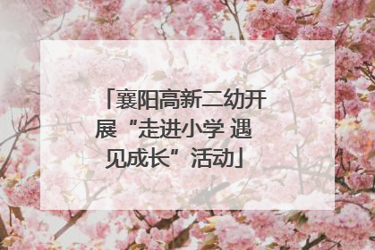 襄阳高新二幼开展“走进小学 遇见成长”活动