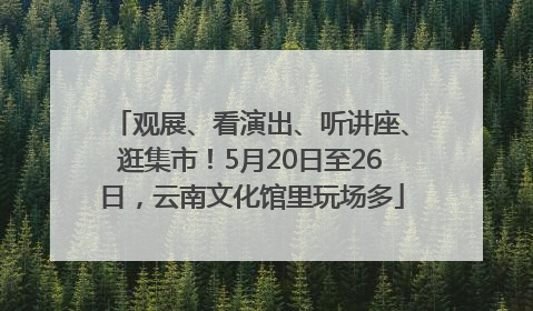观展、看演出、听讲座、逛集市！5月20日至26日，云南文化馆里玩场多