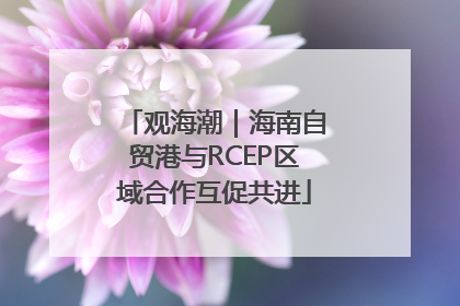 观海潮｜海南自贸港与RCEP区域合作互促共进