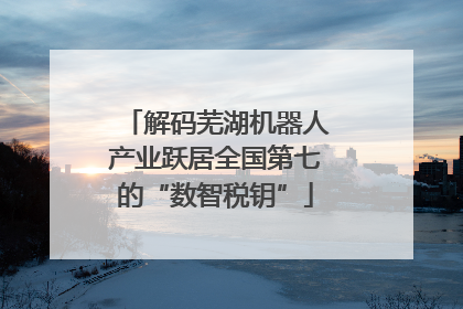 解码芜湖机器人产业跃居全国第七的“数智税钥”