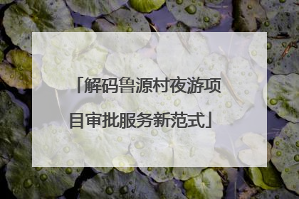 解码鲁源村夜游项目审批服务新范式