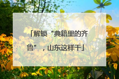 解锁“典籍里的齐鲁”，山东这样干