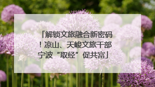 解锁文旅融合新密码！凉山、天峻文旅干部宁波“取经”促共富