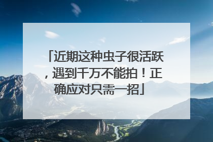近期这种虫子很活跃，遇到千万不能拍！正确应对只需一招