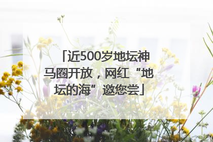 近500岁地坛神马圈开放，网红“地坛的海”邀您尝